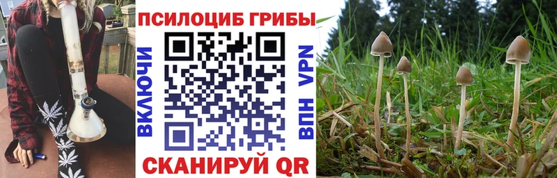 kraken вход  Долинск  Псилоцибиновые грибы Psilocybine cubensis  купить наркотики сайты 